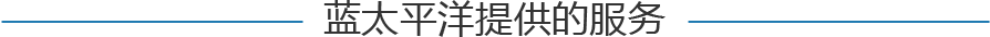 政府網(wǎng)站普查監(jiān)測
